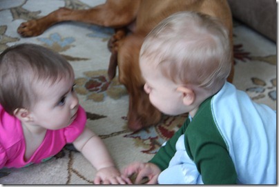 IMG_5609
